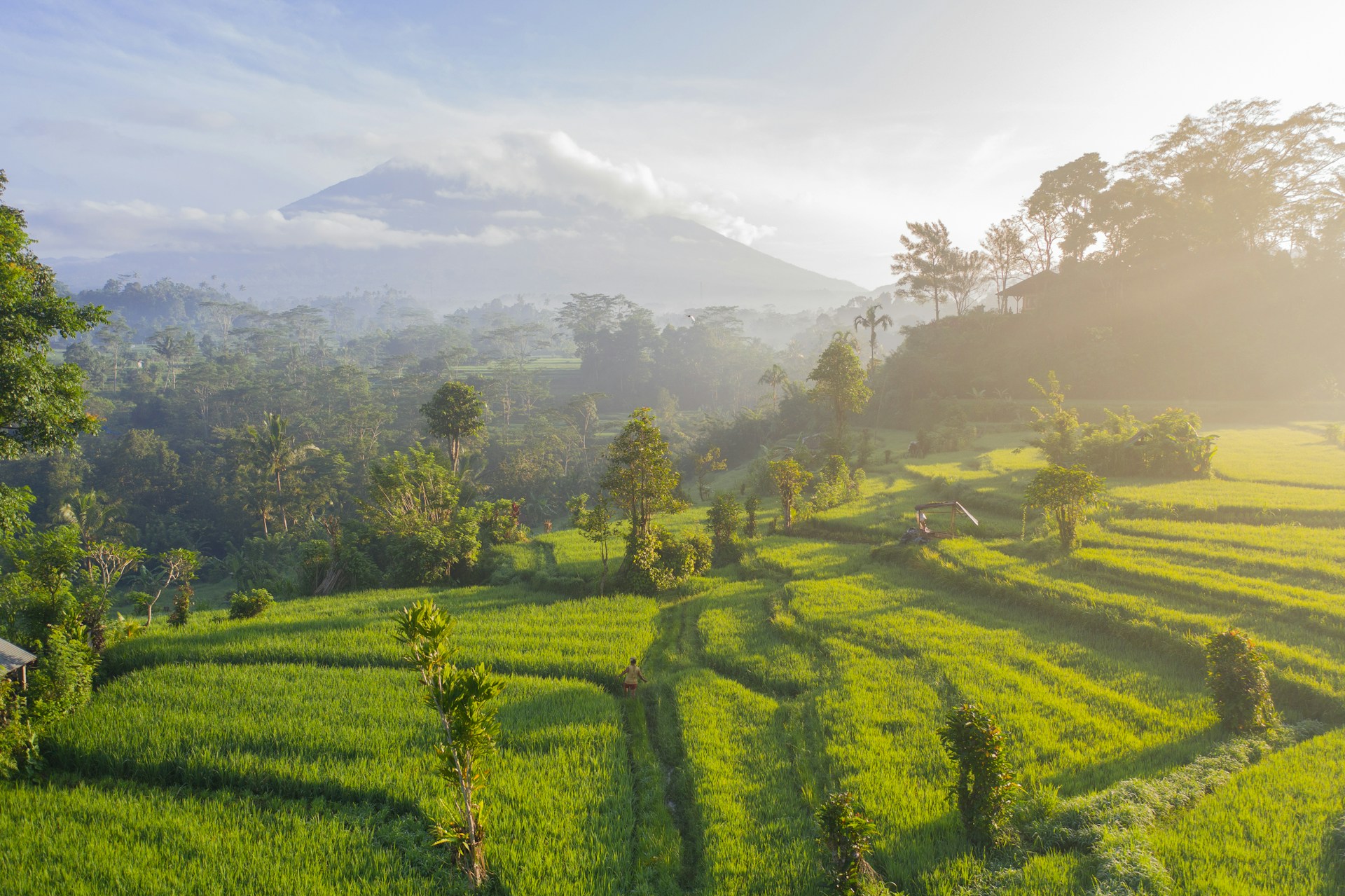 Investasi di Indonesia: Mercusuar Ketahanan di Dunia yang Terpecah