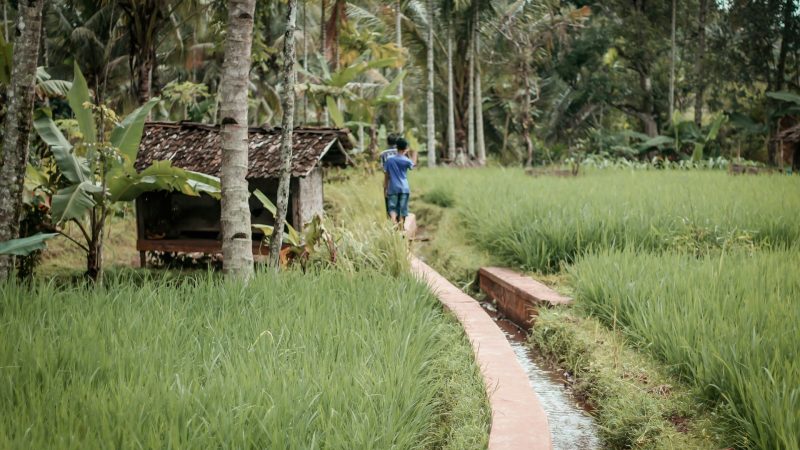 Bentuk-Bentuk Perubahan Sosial Budaya dalam Masyarakat